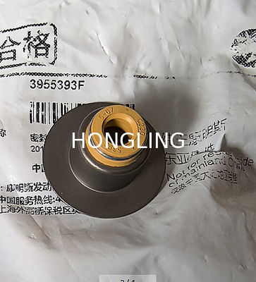Cummins 6D107 Valve oil seal 3955393